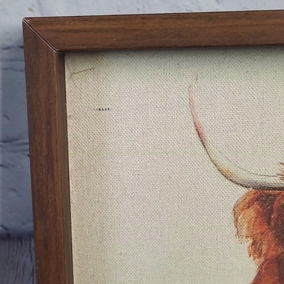 Highland Cow Texas Country Cattle Bathtub Rubber Duck Wood Framed Canvas Print - Picture 6 of 16